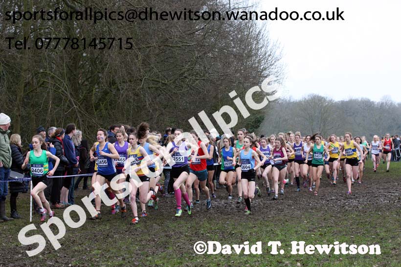 Womens under-20s Inter Counties Cross Country, Prestwold Hall, Loughborough. Photo: David T. Hewitson/Sports for All Pics